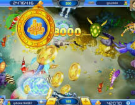 HB火博·体育官方正版手游2024最新版