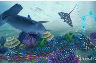 HB火博·体育官方正版手游手机版